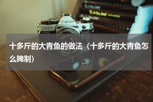 十多斤的大青鱼的做法（十多斤的大青鱼怎么腌制）