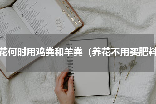 养花何时用鸡粪和羊粪（养花不用买肥料）