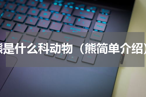 熊是什么科动物（熊简单介绍）