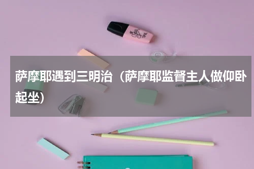 萨摩耶遇到三明治（萨摩耶监督主人做仰卧起坐）