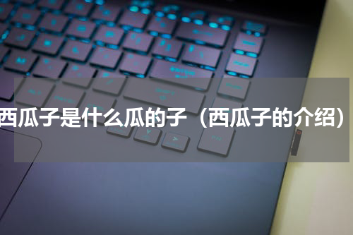 西瓜子是什么瓜的子（西瓜子的介绍）