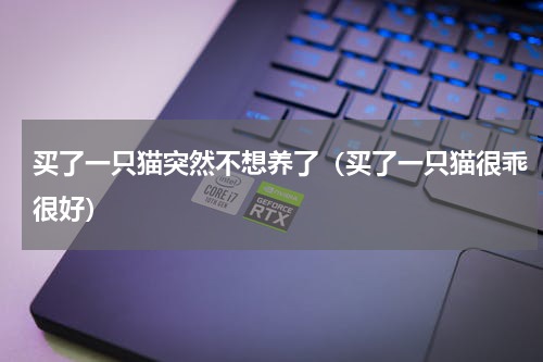 买了一只猫突然不想养了（买了一只猫很乖很好）