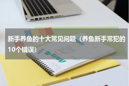 新手养鱼的十大常见问题（养鱼新手常犯的10个错误）
