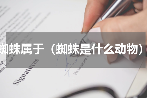 蜘蛛属于（蜘蛛是什么动物）