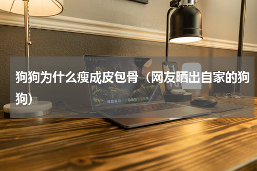 狗狗为什么瘦成皮包骨（网友晒出自家的狗狗）