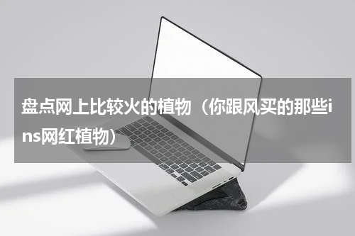 盘点网上比较火的植物（你跟风买的那些ins网红植物）