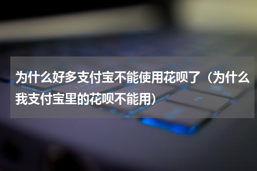 为什么好多支付宝不能使用花呗了（为什么我支付宝里的花呗不能用）