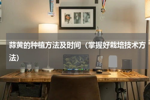 蒜黄的种植方法及时间（掌握好栽培技术方法）