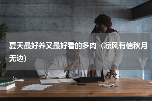 夏天最好养又最好看的多肉（凉风有信秋月无边）