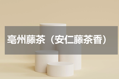 亳州藤茶（安仁藤茶香）