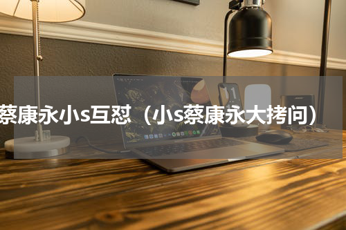 蔡康永小s互怼（小s蔡康永大拷问）