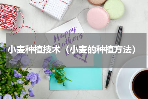 小麦种植技术（小麦的种植方法）