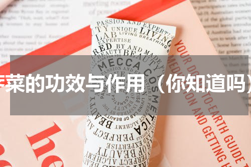 荠菜的功效与作用（你知道吗）