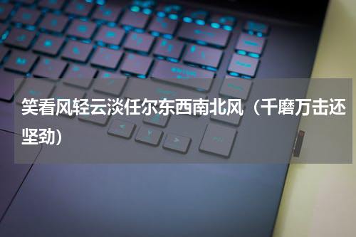 笑看风轻云淡任尔东西南北风（千磨万击还坚劲）