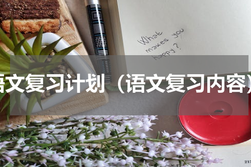 语文复习计划（语文复习内容）