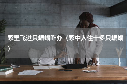 家里飞进只蝙蝠咋办（家中入住十多只蝙蝠）