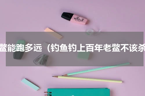 老鳖能跑多远（钓鱼钓上百年老鳖不该杀）