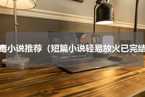 剧毒小说推荐（短篇小说轻易放火已完结）