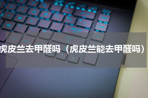 虎皮兰去甲醛吗（虎皮兰能去甲醛吗）