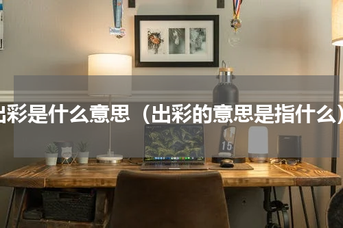 出彩是什么意思（出彩的意思是指什么）