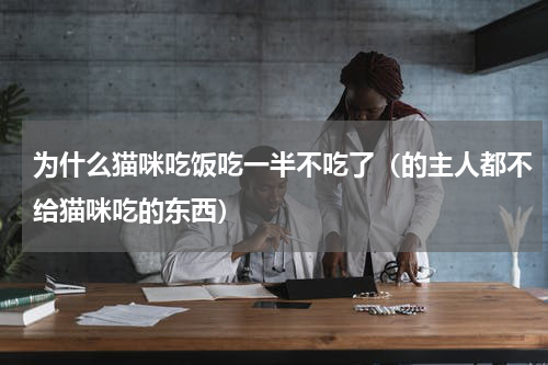 为什么猫咪吃饭吃一半不吃了（的主人都不给猫咪吃的东西）