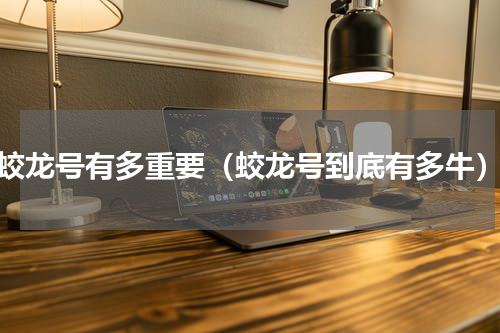 蛟龙号有多重要（蛟龙号到底有多牛）