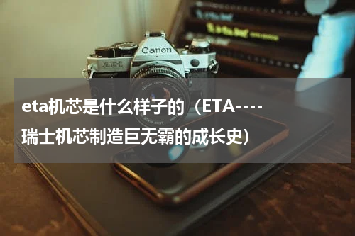 eta机芯是什么样子的（ETA----瑞士机芯制造巨无霸的成长史）