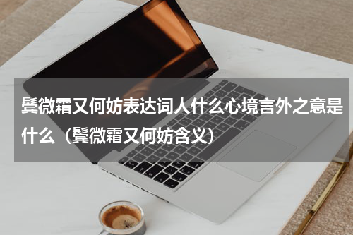 鬓微霜又何妨表达词人什么心境言外之意是什么（鬓微霜又何妨含义）