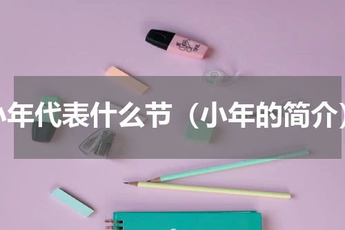 小年代表什么节（小年的简介）