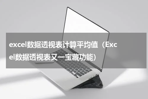 excel数据透视表计算平均值（Excel数据透视表又一宝藏功能）