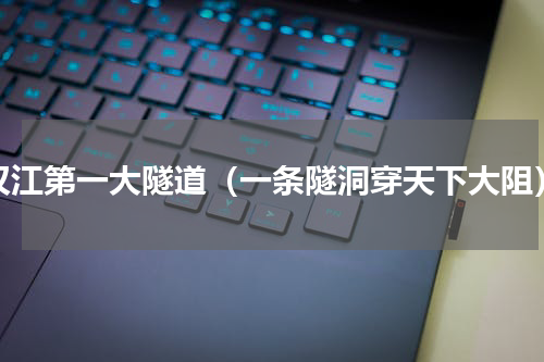 汉江第一大隧道（一条隧洞穿天下大阻）