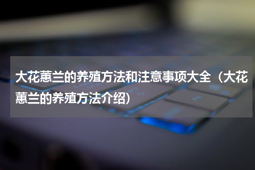 大花蕙兰的养殖方法和注意事项大全（大花蕙兰的养殖方法介绍）