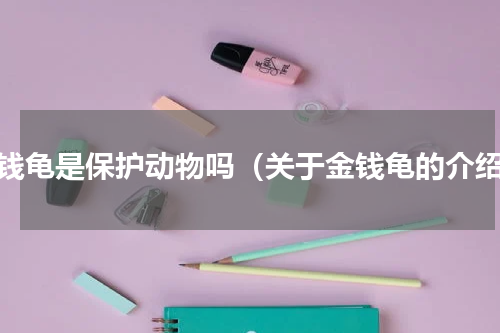 金钱龟是保护动物吗（关于金钱龟的介绍）