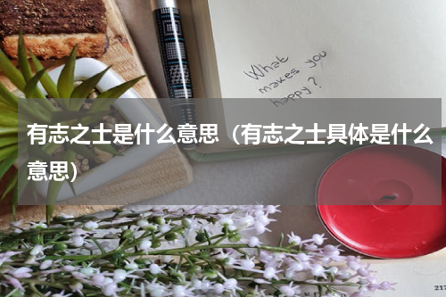 有志之士是什么意思（有志之士具体是什么意思）