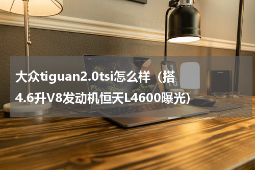 大众tiguan2.0tsi怎么样（搭4.6升V8发动机恒天L4600曝光）