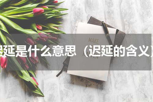 迟延是什么意思（迟延的含义）
