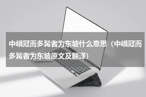 中峨冠而多髯者为东坡什么意思（中峨冠而多髯者为东坡原文及翻译）