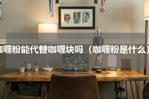 咖喱粉能代替咖喱块吗（咖喱粉是什么）