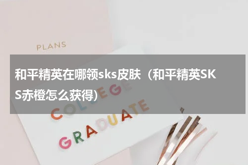 和平精英在哪领sks皮肤（和平精英SKS赤橙怎么获得）