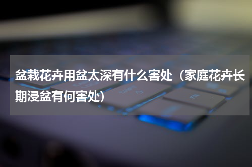 盆栽花卉用盆太深有什么害处（家庭花卉长期浸盆有何害处）