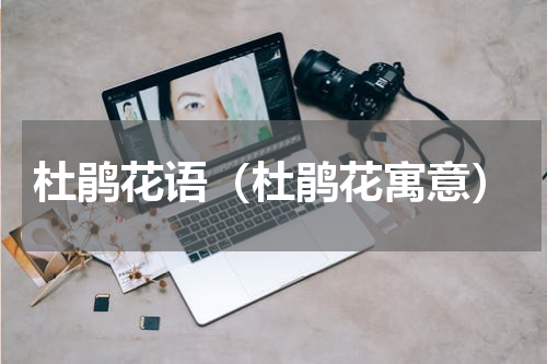 杜鹃花语（杜鹃花寓意）