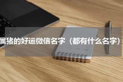 属猪的好运微信名字（都有什么名字）