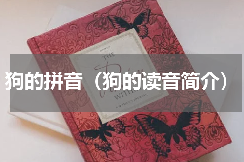 狗的拼音（狗的读音简介）