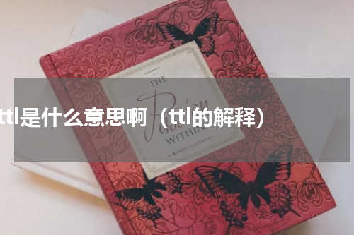 ttl是什么意思啊（ttl的解释）