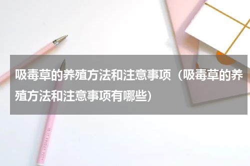 吸毒草的养殖方法和注意事项（吸毒草的养殖方法和注意事项有哪些）