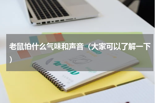 老鼠怕什么气味和声音（大家可以了解一下）