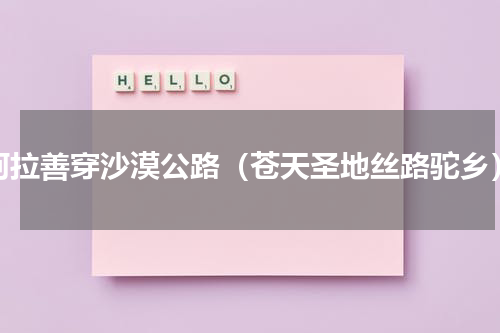 阿拉善穿沙漠公路（苍天圣地丝路驼乡）