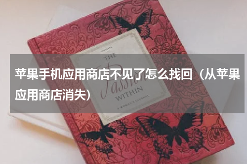 苹果手机应用商店不见了怎么找回（从苹果应用商店消失）
