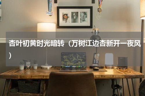 杏叶初黄时光暗转（万树江边杏新开一夜风）