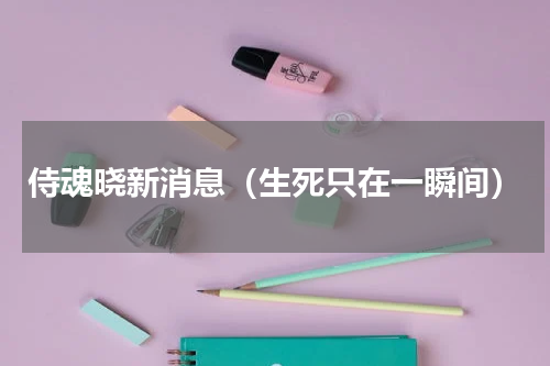 侍魂晓新消息（生死只在一瞬间）